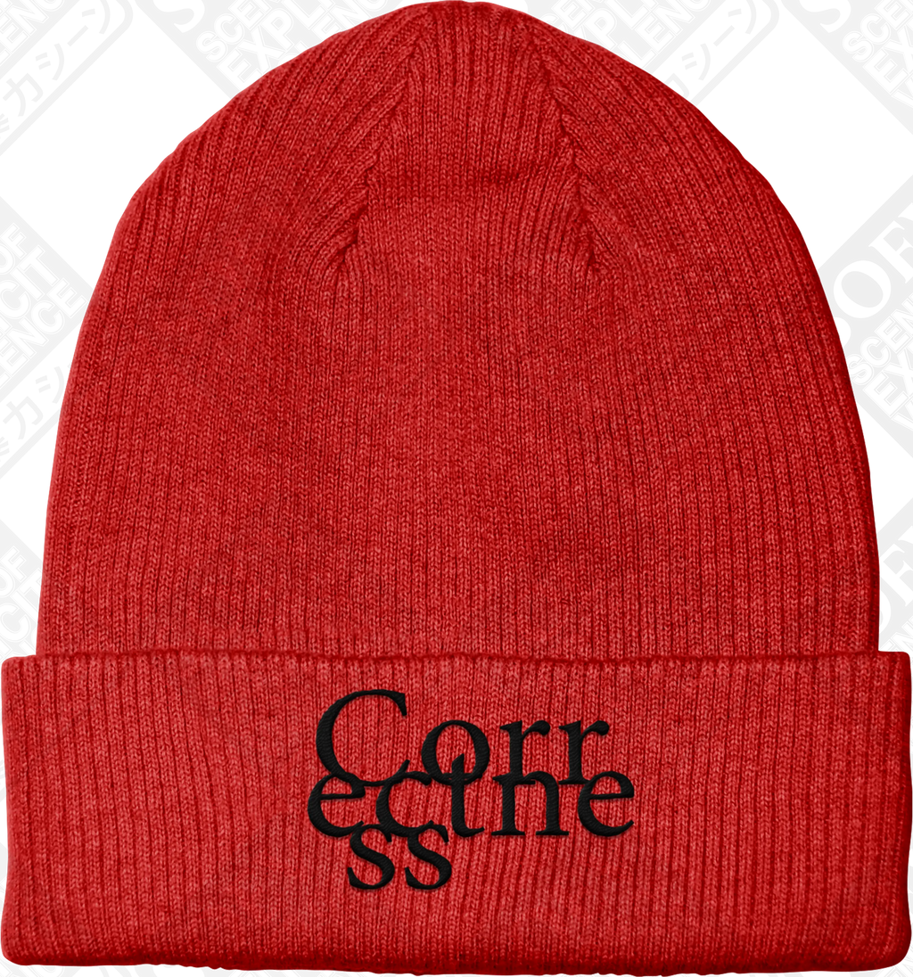 OBSERVER (Embroidered Beanie) PRE-ORDER
