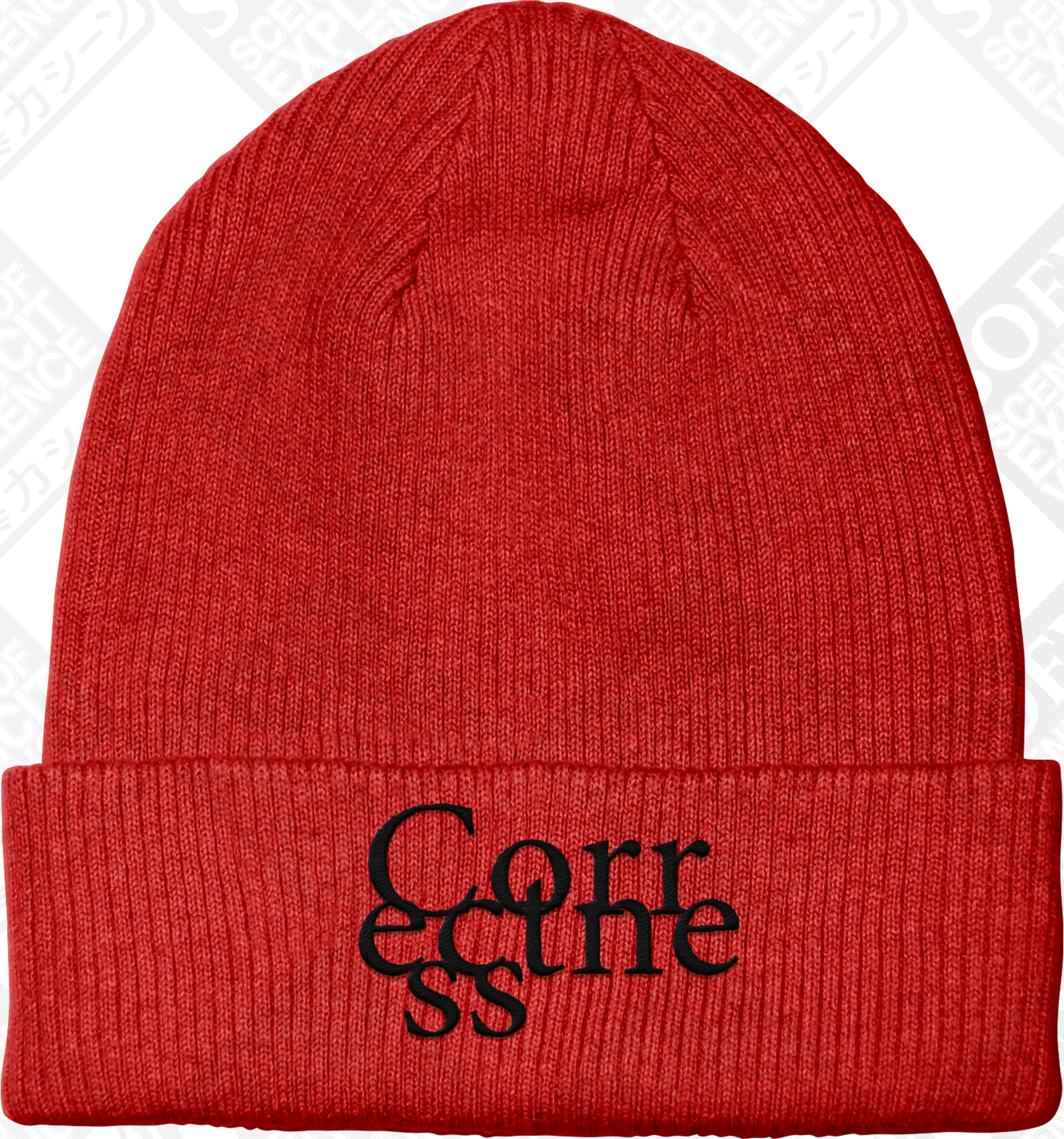 OBSERVER (Embroidered Beanie) PRE-ORDER