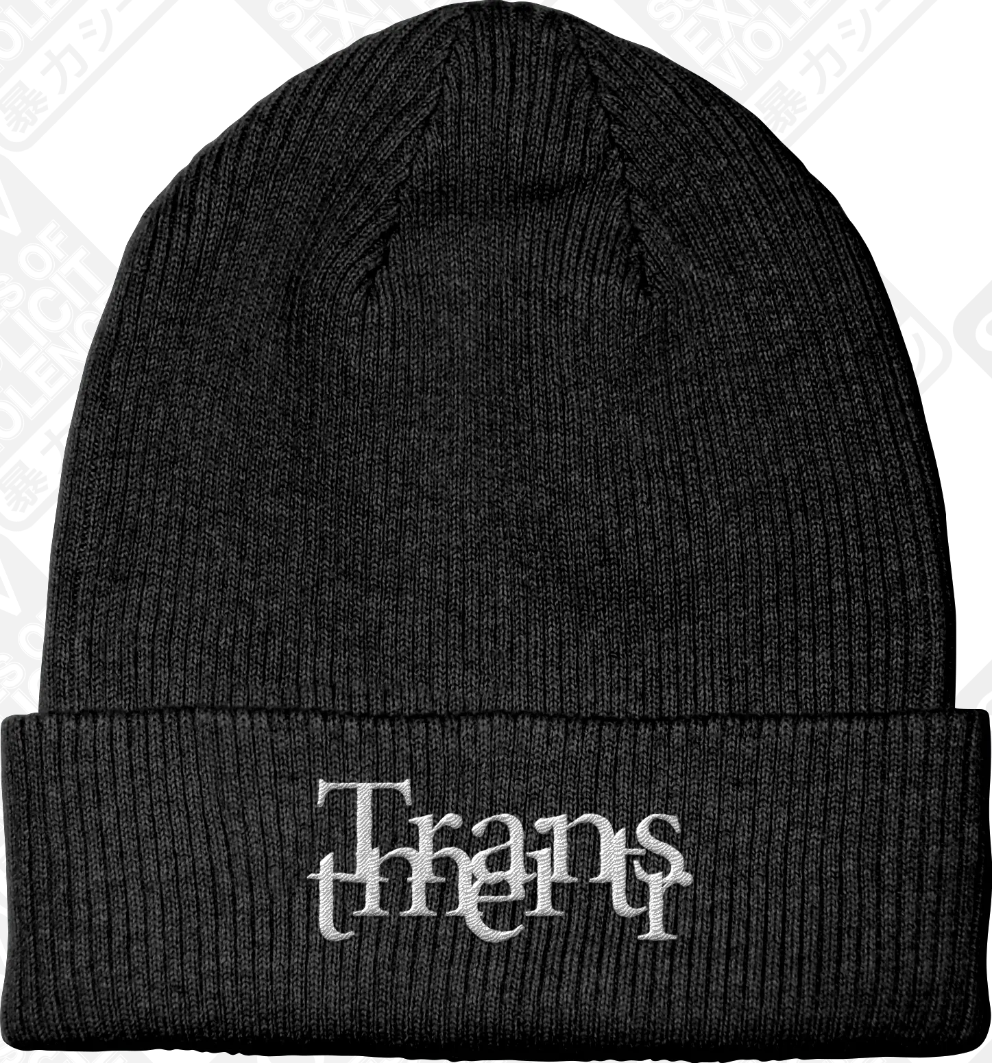 OBSERVER (Embroidered Beanie) PRE-ORDER