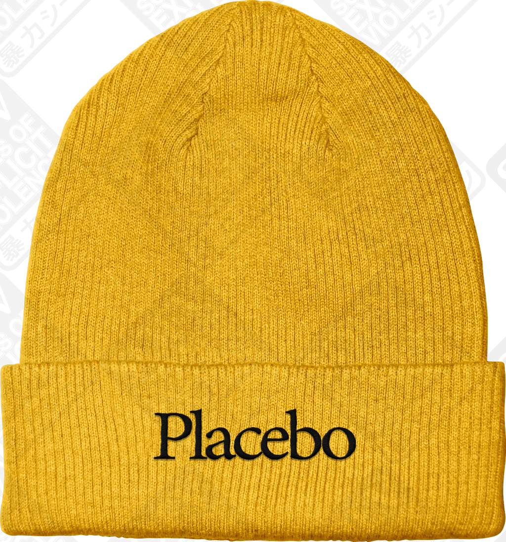 OBSERVER (Embroidered Beanie) PRE-ORDER