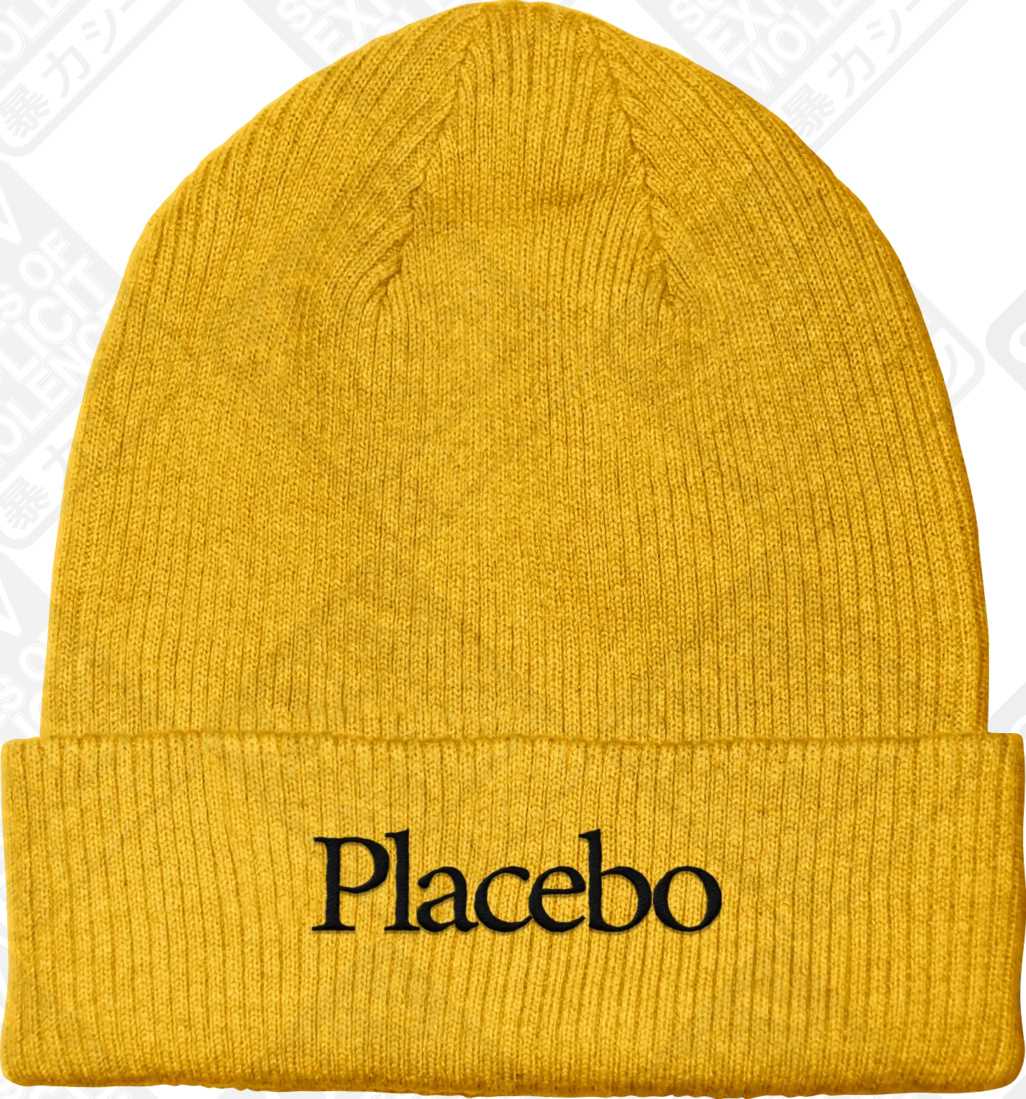 OBSERVER (Embroidered Beanie) PRE-ORDER