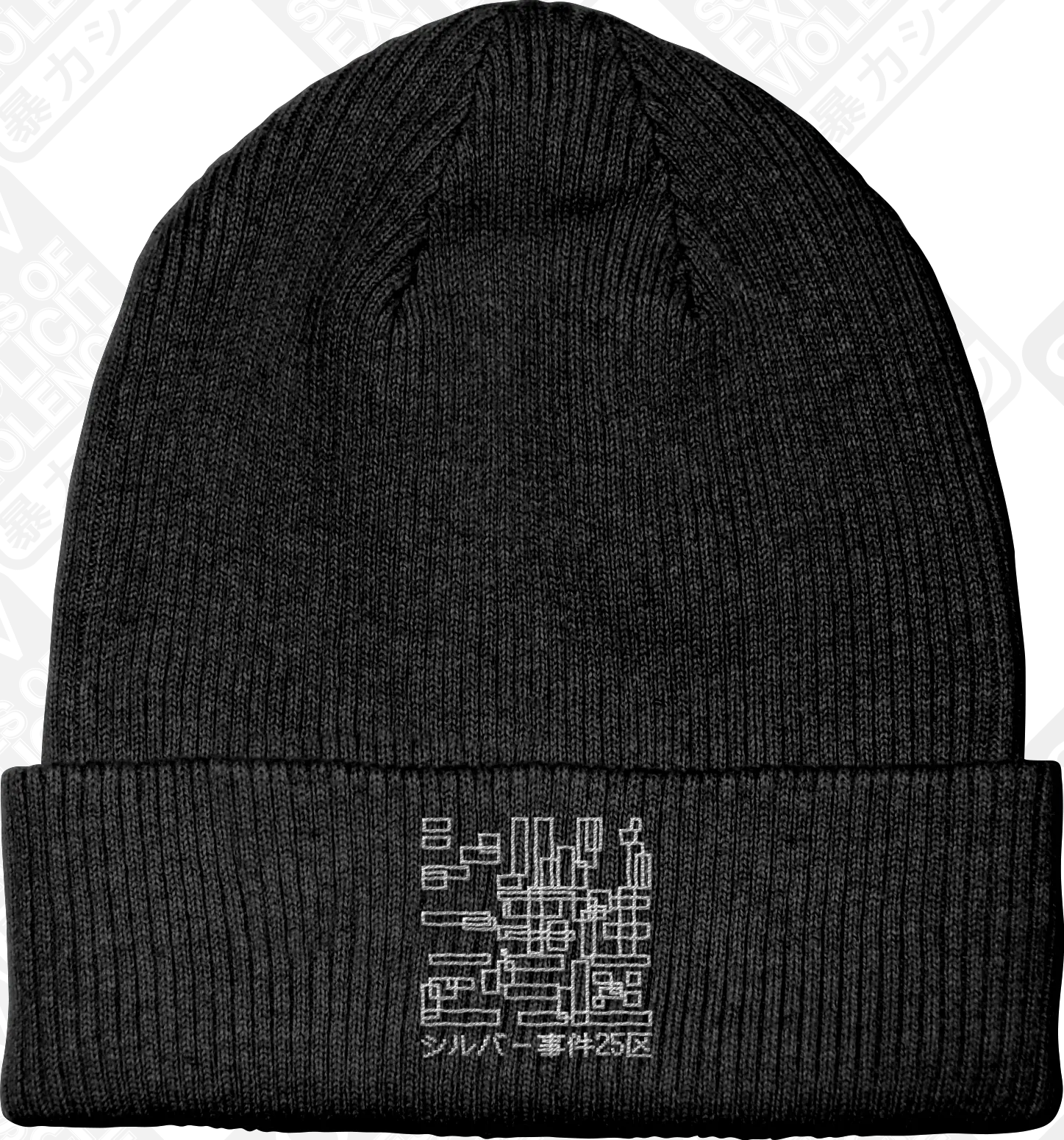 OBSERVER (Embroidered Beanie) PRE-ORDER