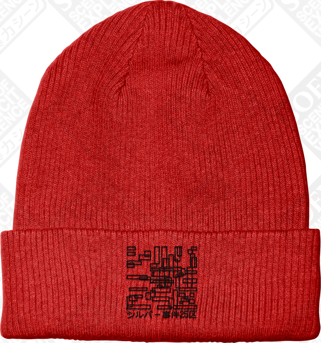 OBSERVER (Embroidered Beanie) PRE-ORDER