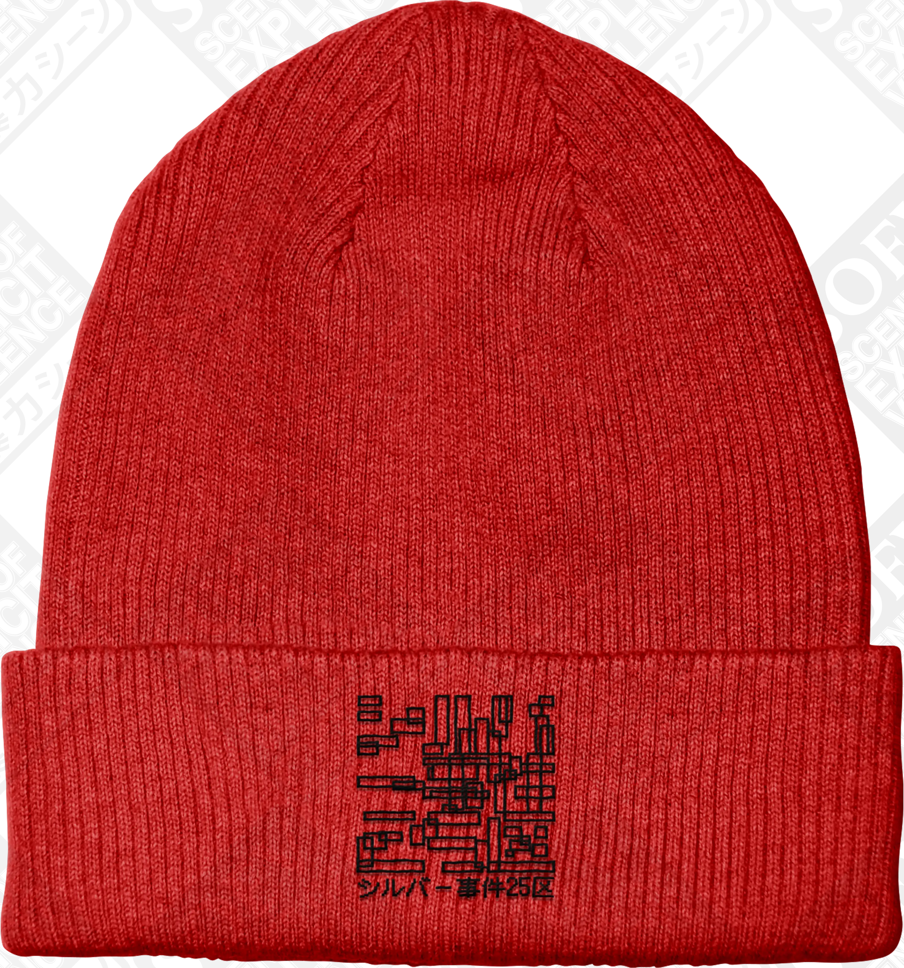 OBSERVER (Embroidered Beanie) PRE-ORDER