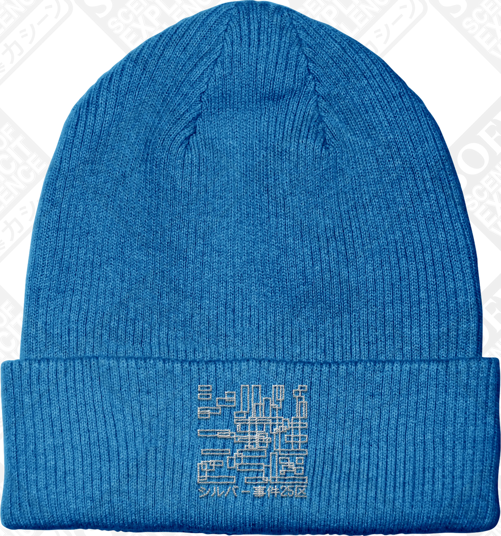 OBSERVER (Embroidered Beanie) PRE-ORDER
